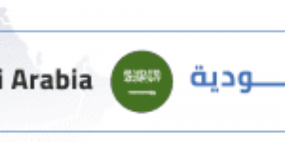 Saudi Arabia: Novel wave of arbitrary arrests against a number of public figures through the new oppressive arm of “State Security Apparatus”