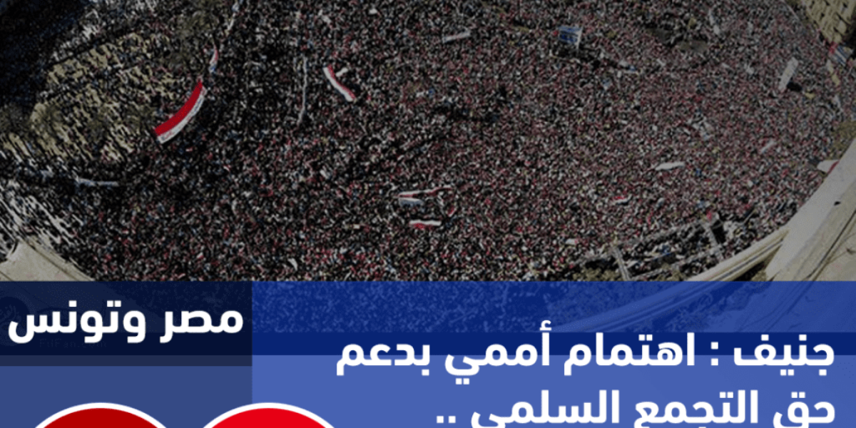 جنيف : اهتمام أممي بدعم حق التجمع السلمي .. ومصر وتونس تناقش