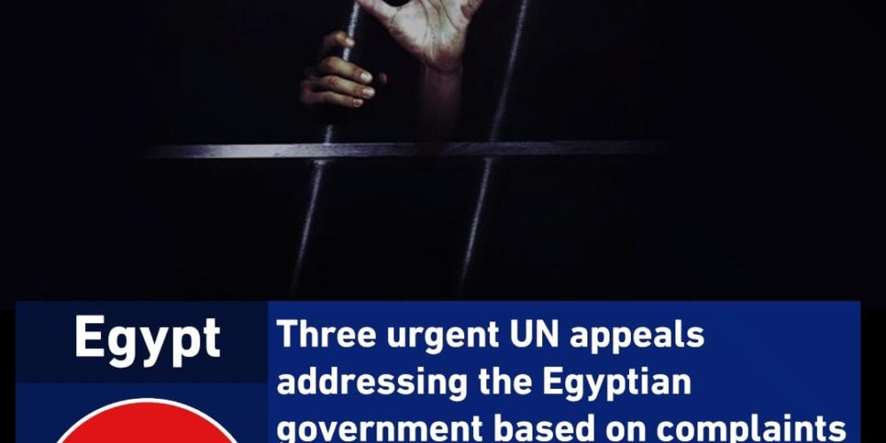 Three urgent UN appeals addressing the Egyptian government based on complaints submitted by “Committee for Justice”