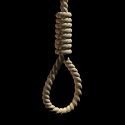 Twitter image Twitter image