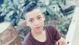 علي أيمن أبو عالية علي أيمن أبو عالية