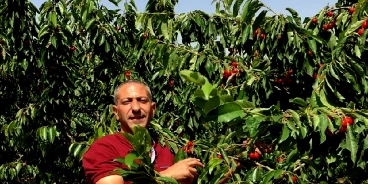 الأمم المتحدة تحث السلطات الإسرائيلية على إنهاء الإفلات من العقاب على التعذيب وسوء المعاملة