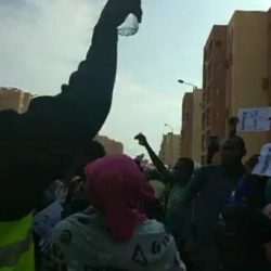 محمد حسن محمد حسن