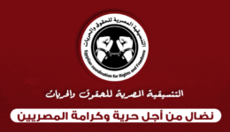 26220921_933977290102992_5992915230838380412_o التنسيقية المصرية للحقوق والحريات