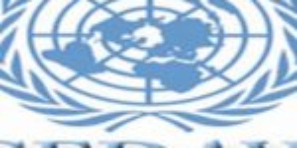 UN Women’s Rights Committee issues its findings and recommendations on Egypt, South Sudan and Yemen 