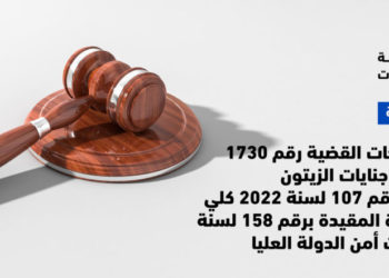 تقرير بانتهاكات القضية رقم 1730 لسنه 2022 جنايات الزيتون تقرير بانتهاكات القضية رقم 1730 لسنة 2022 جنايات الزيتون