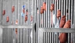 استهداف مدافعة عن حقوق المرأة آليات عمل لجنة العفو الرئاسي بمصر