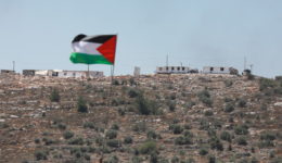 شيليت تستنكر رفض إسرائيل منح تأشيرات لموظفي الأمم المتحدة استنكار أممي لمنع إسرائيل قرية رأس جربة البدوية بالنقب