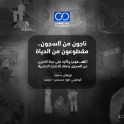 التعذيب وآثاره على حياة الناجين من السجون المصرية التعذيب وآثاره على حياة الناجين من السجون المصرية