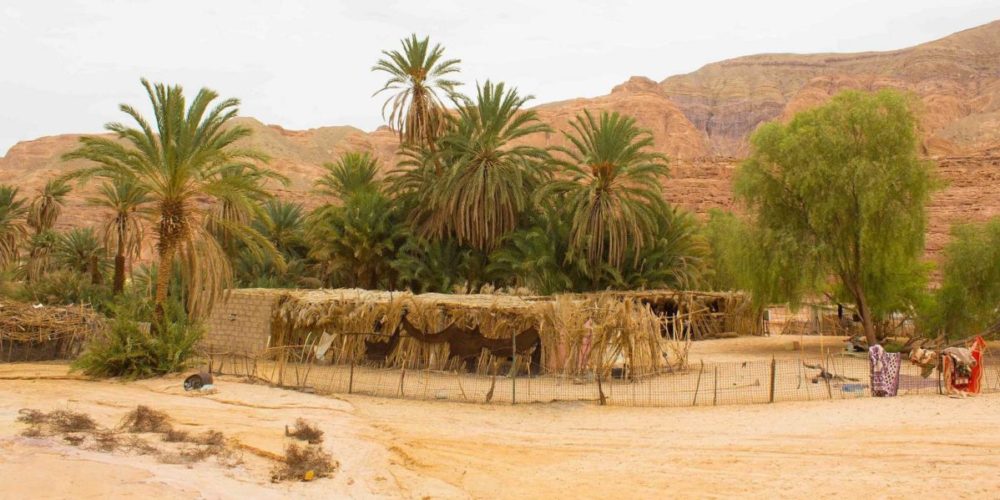 Egypt: COP27 participants urged to recognize Sinai population’s environmental and human rights