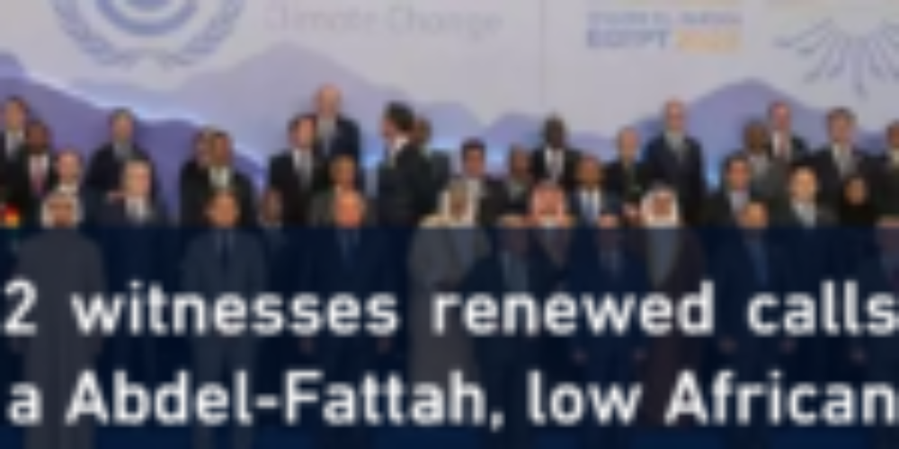 COP27 bulletin: Day 2 witnesses renewed calls for the release of Alaa Abdel-Fattah, low African representation, and arbitrary arrests
