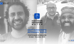 Egypt: Fourth quarterly bulletin documents Alaa Abdel-Fattah’s hunger strike and violations against defenders and lawyers