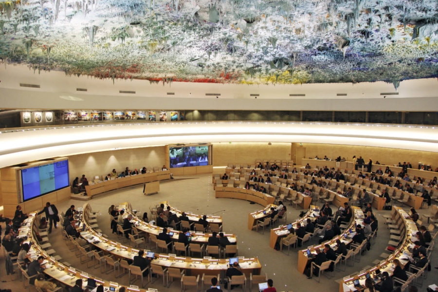 Human Rights Council
