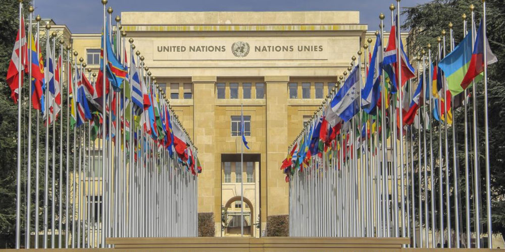 Egypt: UN Working Group issues opinion on the disappearance of two citizens based on CFJ complaint