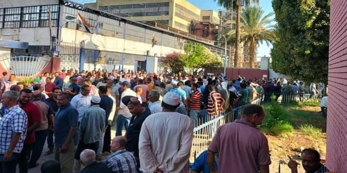 تصاعد اعتصامات العاملين بمصانع السكر في مصر.. و”لجنة العدالة” تطالب بالتفاعل مع مطالبهم بإيجابية