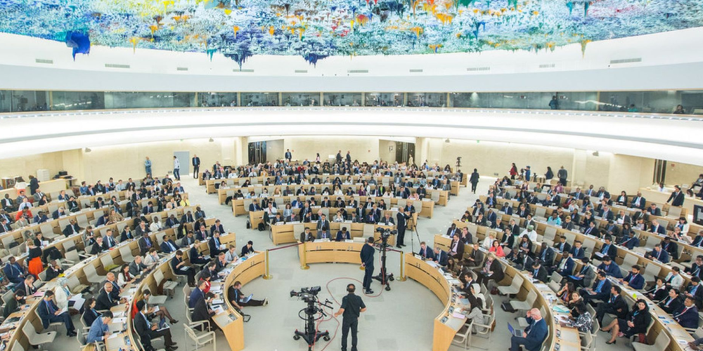 Mefreh addresses in human rights council side event on strengthening safeguards against torture in assemblies