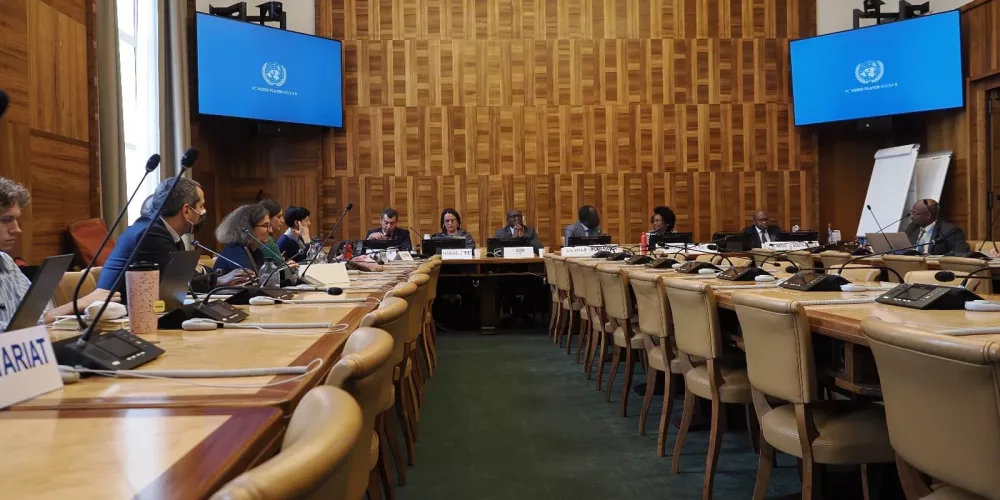 CFJ Executive Director participates in event on strengthening cooperation between (HRC) and (ACHPR) about enforced disappearances in Geneva