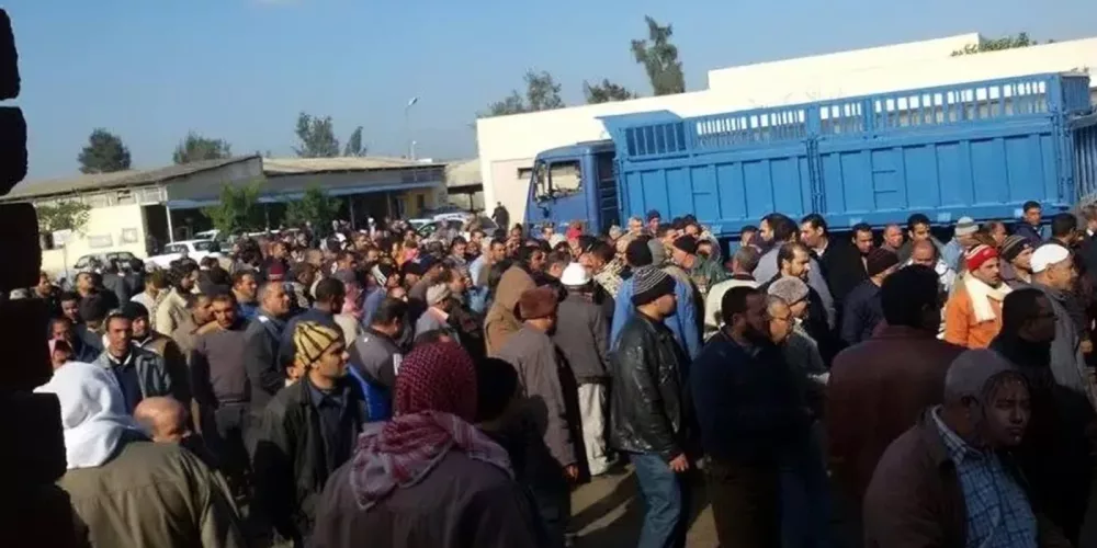 Egypt: CFJ affirms solidarity with “Delta Sugar Co.” workers in their protests and calls for meeting their demands   