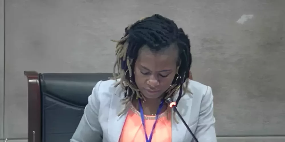 Gambia: NGOs Forum Adopts Report by The CFJ on the Human Rights Situation in Gambia on the Margins of the 83st Ordinary Session of the African Commission