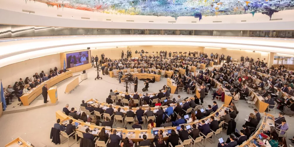 Le CFJ soumet une contribution au CDH sur le rôle de la gouvernance locale dans la promotion des droits de l’homme en Algérie, en Égypte, en Tunisie et en Gambie