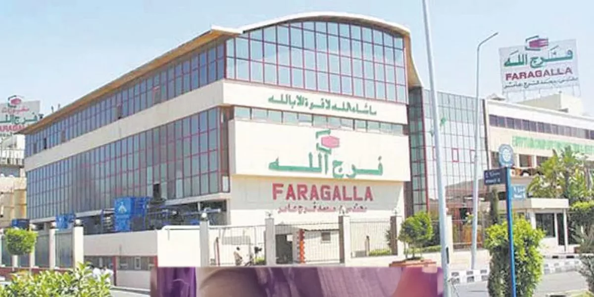 مصر: لجنة العدالة ترصد اعتصام عمال “فرج الله” في برج العرب للمطالبة بالحد الأدنى للأجور.. وتستنكر تهديد الإدارة لهم بالفصل