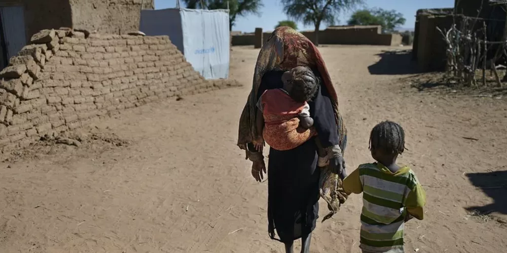 Sudan: CFJ and Sudanese Rights Organizations Condemn Starvation of Civilians in El Fasher, Urge Immediate Lifting of Siege and Delivery of Aid