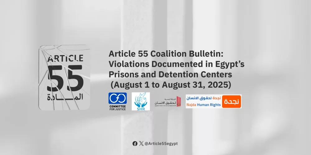 Article 55 Alliance documents detention abuses in Egypt between 1 and 31 August 2025 