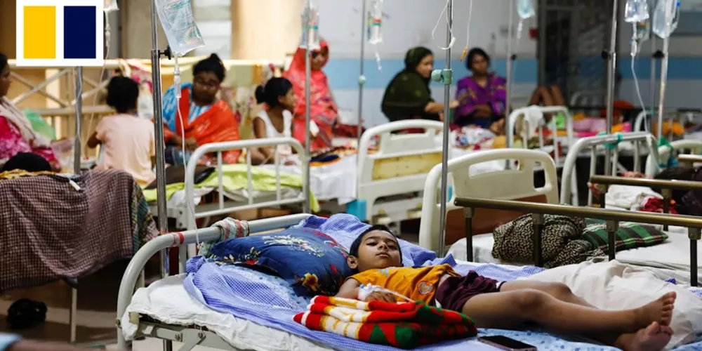 Sudan | Dengue Fever Outbreak in Khartoum, Gezira, and Darfur Highlights the Collapse of the Health System Amid the Ongoing War