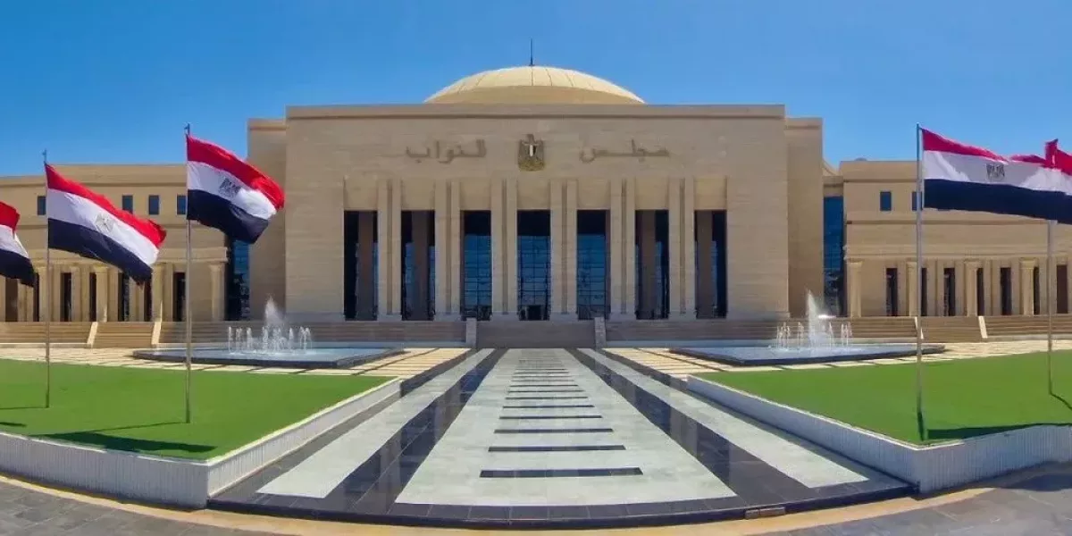 مصر: مسار انتخابي برلماني زائف يُفرغ الانتخابات من شرعيتها