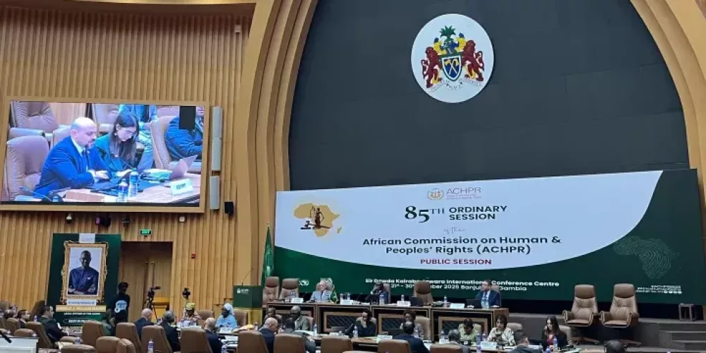 Egypt: African Commission Should Act to Protect Rights…Government and Commissioner’s Reports Exclude Key Violations