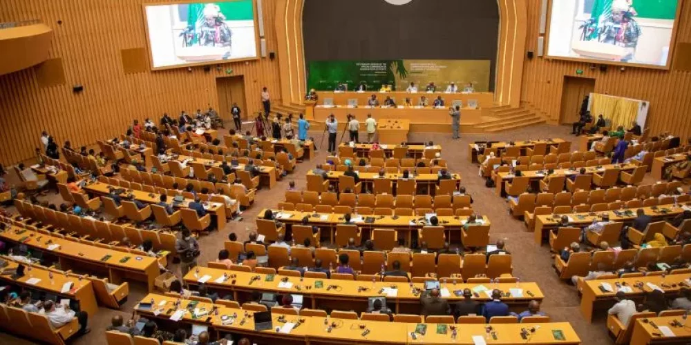 CFJ and AWAFY Organized a Side Event Ahead of the 85th Ordinary Session of the ACHPR About the Escalating Humanitarian and Human Rights Crisis in Sudan