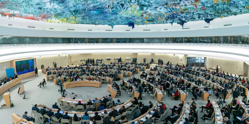 Eight UN Special Procedures Raise Serious Concerns Over Egypt’s Counter-Terrorism Practices Following Documented Cases Submitted by CFJ