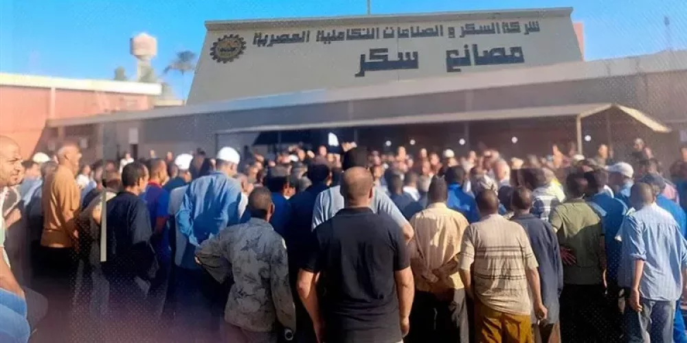 Egypt: CFJ Documents Arbitrary Transfer of Six Workers from Edfo and Kom Ombo Sugar Factories Following Wage Protests