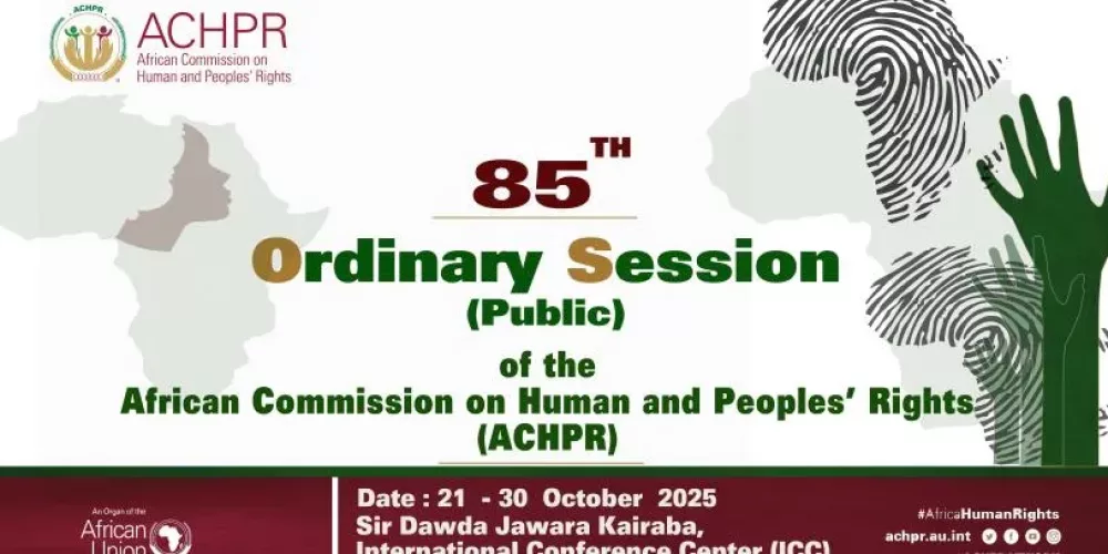Committee for Justice participates in high-level side event on enforced disappearances and land and environmental defenders during the 85th ACHPR session