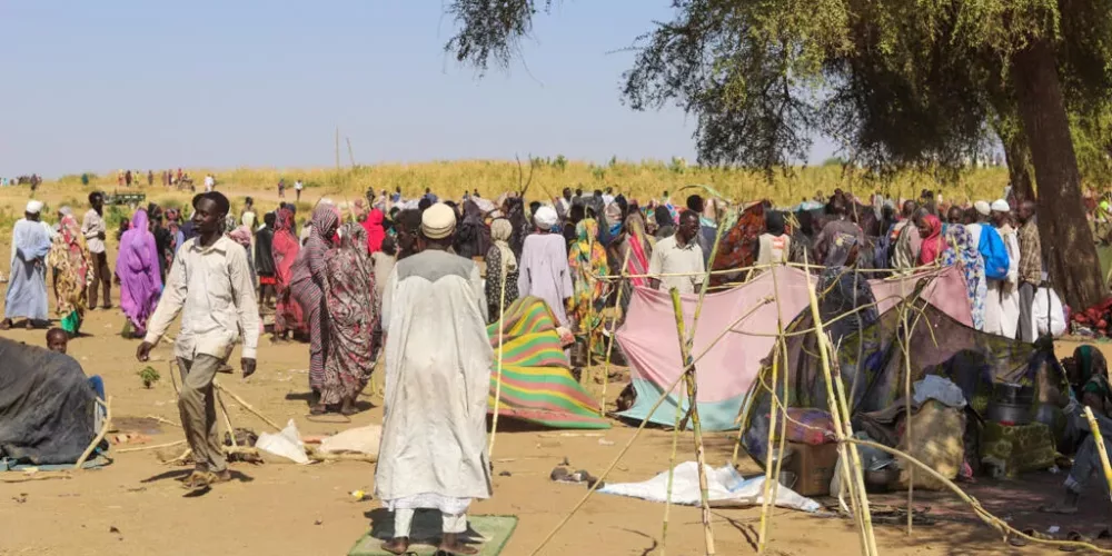 UN: El-Fasher Attacks Amount to War Crimes and Possible Atrocities Against Humanity… High Commissioner Warns Sudan Is at a Dangerous Crossroads
