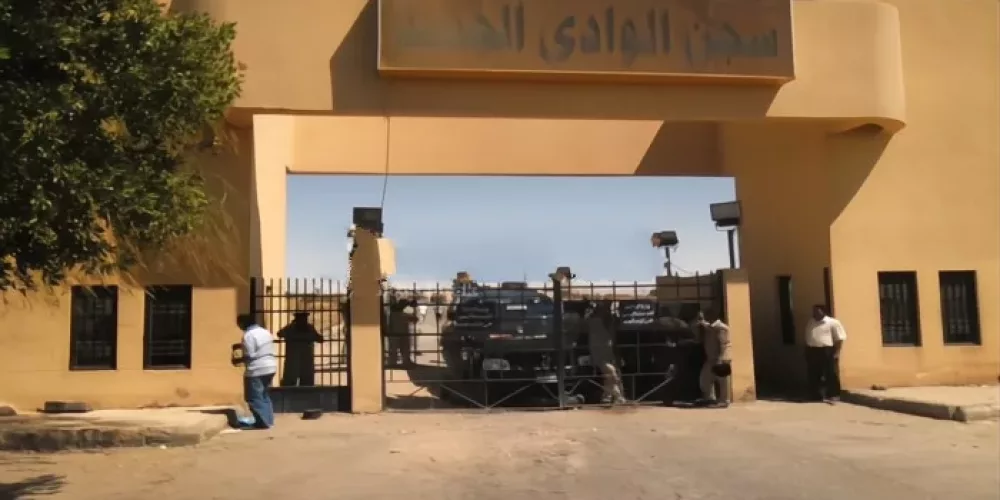 Egypt: CFJ Documents Hunger Strike by Dozens of Political Detainees in New Valley Prison and Calls for an End to Violations and Improvement of Detention Conditions