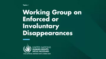 UN Working Group on Enforced Disappearances