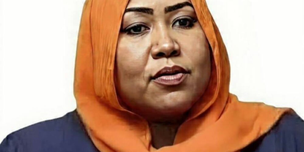 Sudan: Committee for Justice Documents Re‑Arrest of Journalist Hagar Suleiman and Calls for Respect of Press Freedom