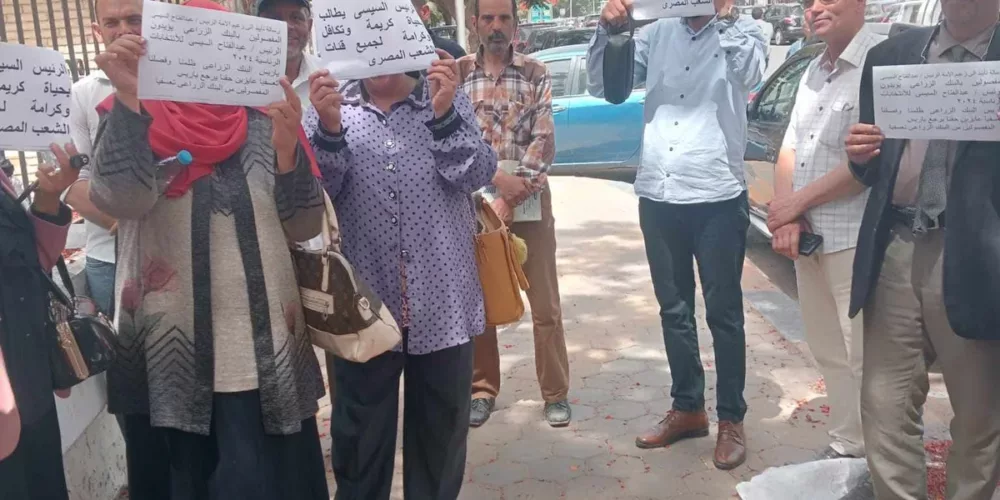 Egypt: Committee for Justice Documents Sit-In by Dismissed Agricultural Bank Employees and Calls for Resolving Their Crisis